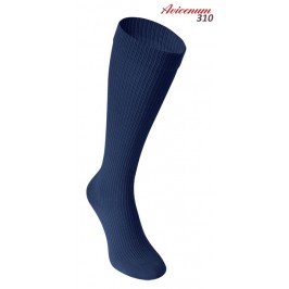 Avicenum 310 AD, 5090